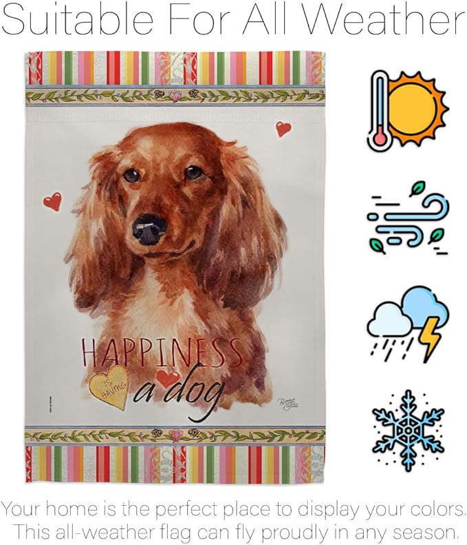 Breeze Decor Long Hair Dachshund Happiness House Flag Pack Dog Puppy Spoiled Paw Canine Fur Pet Nature Farm Animal Creature Support Our Troops Banner Small Garden Yard Gift Double-Sided, Made in USA