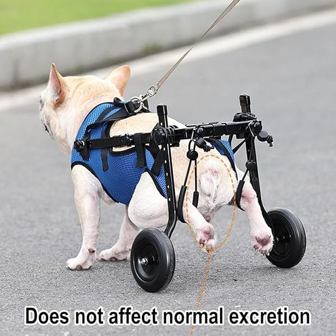 Dog Wheelchair for Back Legs, Dog Wheelchair Cart, Doggy/cat Wheelchair with Disabled Hind Legs Walking, Mobility Aids for Small Pets Hind Limbs, Dog Carts with Wheels, Light Weight