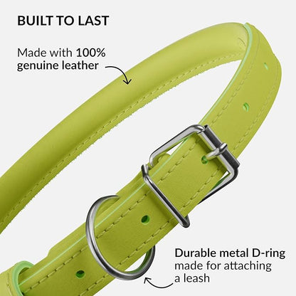 CollarDirect Rolled Leather Dog Collar, Soft Padded Round Puppy Collar, Handmade Genuine Leather Collar Dog Small Large Cat Collars 13 Colors (6 Inch, Lime Green Smooth)