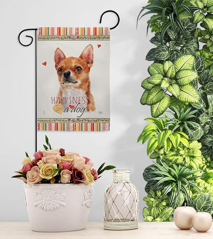 Breeze Decor Shorthair Chihuahua Happiness Garden House Flag-Kit Dog Puppy Spoiled Paw Canine Fur Pet Nature Farm Animal Creature Decoration Banner Small Yard Gift Double-Sided, Made in USA