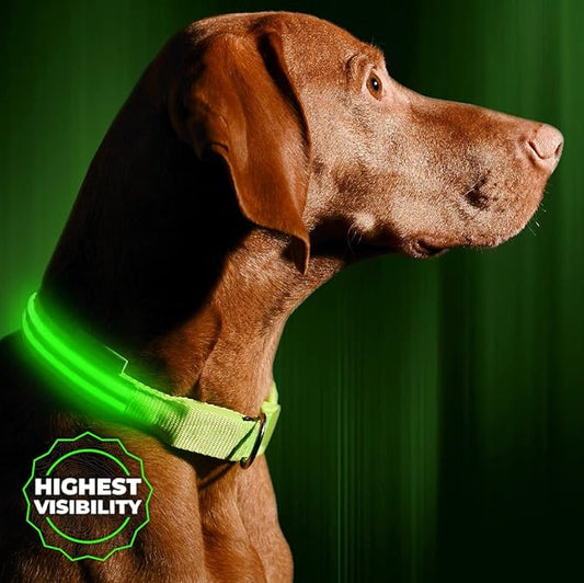 Illumiseen LED Dog Collar USB Rechargeable - Bright & High Visibility Lighted Glow Collar for Pet Night Walking - Weatherproof, in 6 Colors & 6 Sizes (Green XX-Small)
