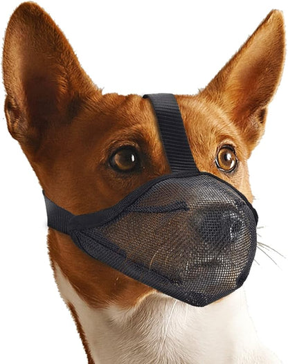 Whongkidz Dog Muzzle for Medium Dogs, Air Mesh Full-Covered Mouth Guard with Adjustable Straps Muzzle, Drinkable Breathable No Biting Barking Chewing Licking or Eating Everything (Black, M)