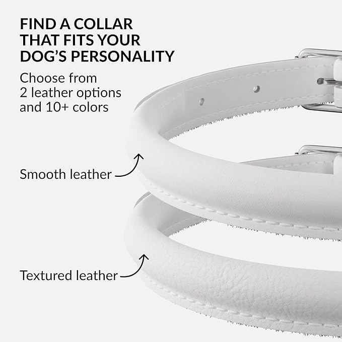 CollarDirect Rolled Leather Dog Collar, Soft Padded Round Puppy Collar, Handmade Genuine Leather Collar Dog Small Large Cat Collars 13 Colors (6-7 Inch, White Smooth)