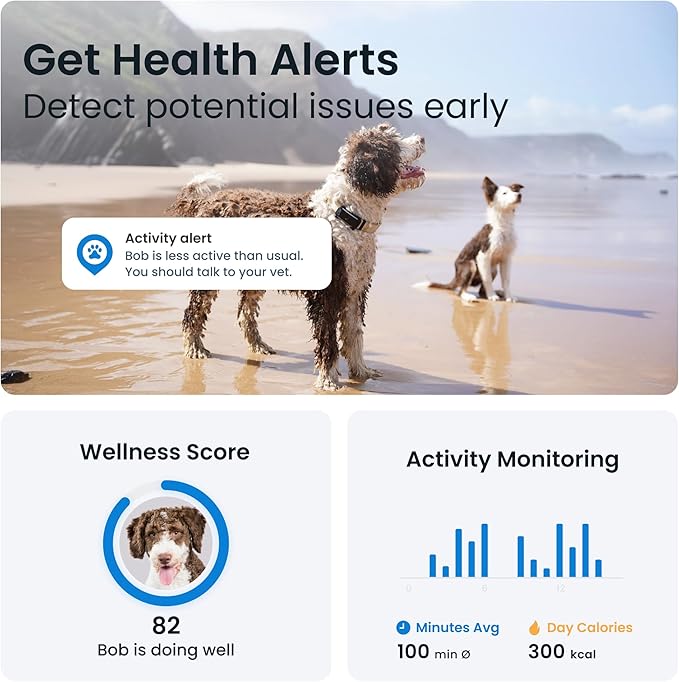 Tractive GPS Dog Tracker (2025 Release) | Real-time Pet Location Tracker | Health & Wellness Alerts | Virtual Fence for Dogs | Bark Monitoring | Dog Collar Attachment (Black)