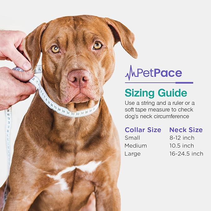 AI Health Monitor & GPS Tracker for Dogs | Track Heart Rate, Pain, Anxiety & Stress | Vet Backed, Near Real-Time Alerts & Monitoring | Subscription Required | PetPace Smart Collar 2.0 (Large)