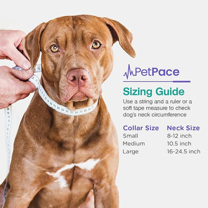 AI Health Monitor & GPS Tracker for Dogs | Track Heart Rate, Pain, Anxiety & Stress | Vet Backed, Near Real-Time Alerts & Monitoring | Subscription Required | PetPace Smart Collar 2.0 (Large)