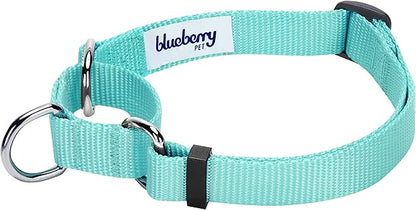 Blueberry Pet Essentials Martingale Safety Training Dog Collar, Mint Blue, Medium, Heavy Duty Nylon Adjustable Collars for Dogs