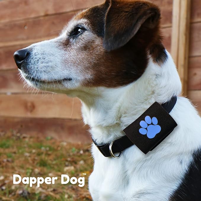 Dapper Dog Pet Tag Silencer and AirTag Holder (Black with Blue Paw)