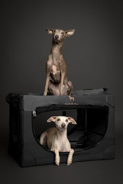 Noah & Paw Collapsible Dog Crate 26 Inch, Small Dog Crate for Small Medium Breeds, Travel Kennel for Car, Including Pet Mat for Pet Cage, 2 Storage Pockets, Handbag, 10mm Locking Zipper 26 * 17 * 17