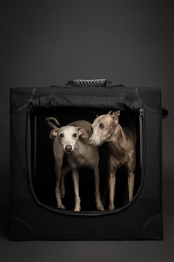 Noah & Paw Collapsible Dog Crate 30 Inches, Large Dog Crate for Large Medium Breeds, Travel Kennel for Car, Including Pet Mat for Pet Cage, 2 Storage Pockets, Handbag, 10mm Locking Zipper 30*21*21