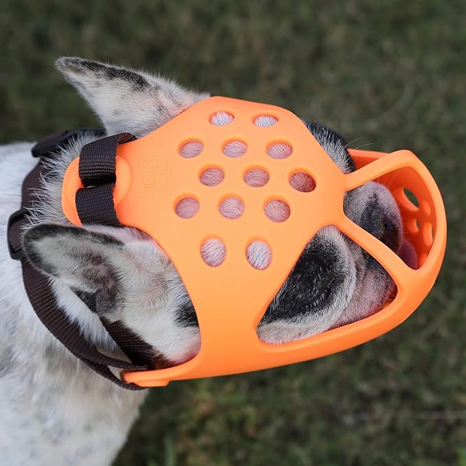 Short Snout Dog Muzzles,Soft Silicone Adjustable Breathable Bulldog Muzzle for Biting Chewing Barking Training,Ideal for Flat-Faced Dogs (M, Orange)