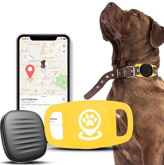 Dog Tracker Smart Pet Location Tracker with Collar Holder Pink, Personalized Smart Item Finder, MFi Certificated Dog Tracking Device, No Monthly Fee,Works with Apple Find My,Not GPS (iOS Only) Golden