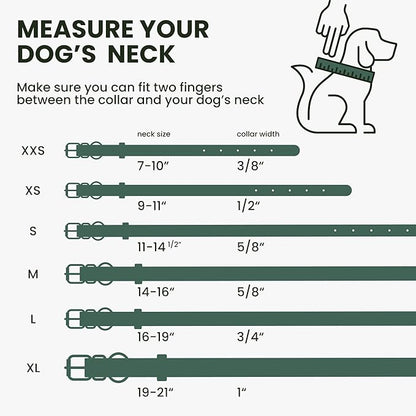 BRONZEDOG Rolled Leather Dog Collar with QR ID Tag Adjustable Soft Round Collars for Small Medium Large Dogs Puppy Cat (Emerald Green, 14-16 inch)