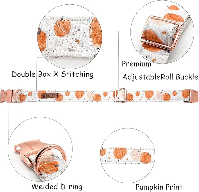 Lionheart glory Dog Collar Halloween Collar Dog Fall Dog Collars, Adjustable Heavy Duty Dog Collar for X-Small Dogs Pumpkin Collar Dog
