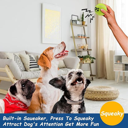 Squeaky Tennis Balls for Dogs Colorful Easy Catching Pet Toy Balls 12 Pack (2.5inch-6colors)