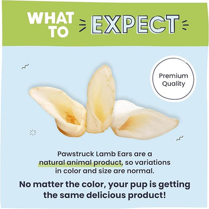 Pawstruck Natural Lamb Ears Chew Treats for Small & Medium Dogs - Healthy Low Fat, No Artificial Preservatives, Single Ingredient, Highly Digestible Animal Ear - 10 Count - Packaging May Vary
