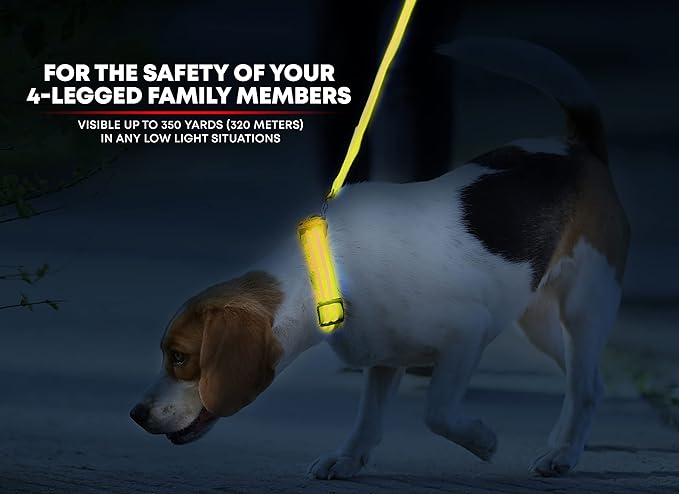 Illumiseen LED Dog Collar USB Rechargeable - Bright & High Visibility Lighted Glow Collar for Pet Night Walking - Weatherproof, in 6 Colors & 6 Sizes (Yellow Medium)
