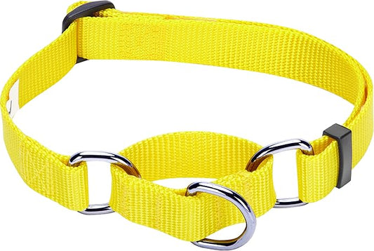 Blueberry Pet Essentials Martingale Safety Training Dog Collar, Blazing Yellow, Small, Heavy Duty Nylon Adjustable Collars for Dogs