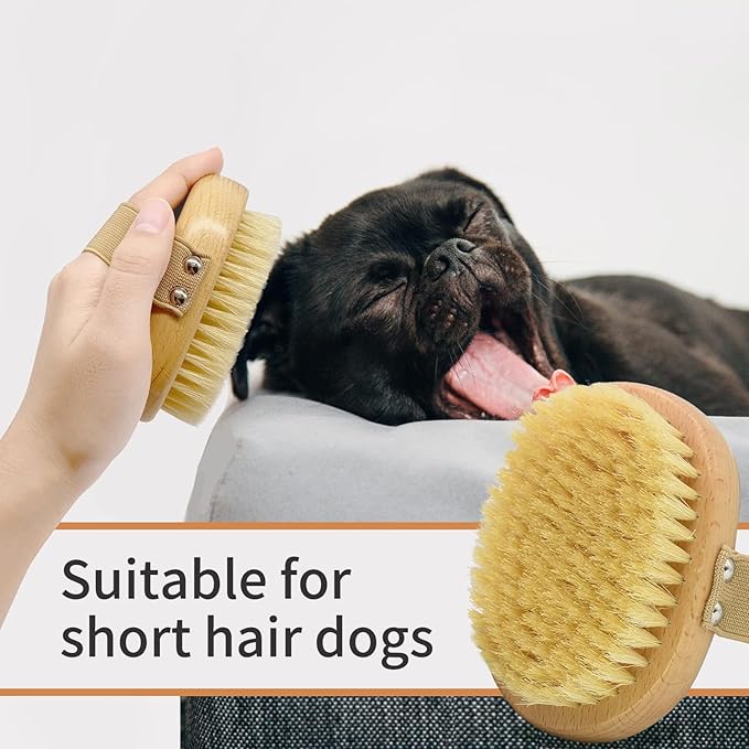 Soft Bristle Pet Brush - Natural Bristle Palm Brush for Short Haired Cats and Dogs with Elastic Band