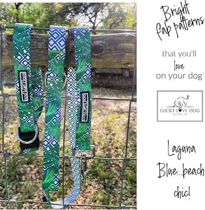 Lucky Love Dog Martingale Collar and Leash Set, Premium No Slip Martingale Collar for Small Boy Dogs, Great for Whippets, Greyhounds, and More (Small, Blue Laguna - Combo)