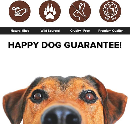 Split Elk Antlers for Dogs - Naturally Shed Split Antlers for Dogs - No Artificial Colors Split Dog Antlers - Long-Lasting Split Elk Antler - Premium Dog Antler Chews (Medium, 6 inches)