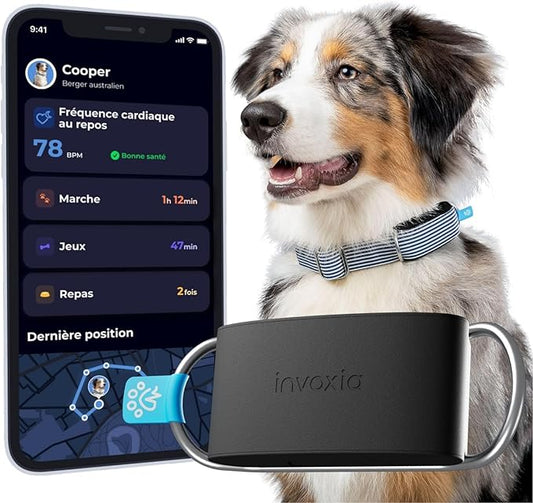 Minitailz - Health & GPS Tracker for Dogs #1 - Cardiac and Respiratory Scan - Real-time Location - Activity and Well-Being Analysis - Compact, Lightweight, and Easy to Install