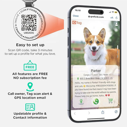 Dog Tags Personalized QR Code Dog Tags, Retro Brass Personalized Pet ID Tags Modifiable Pet Online Profile, Multiple Emergency Contact, (Labrador Retriever-2)