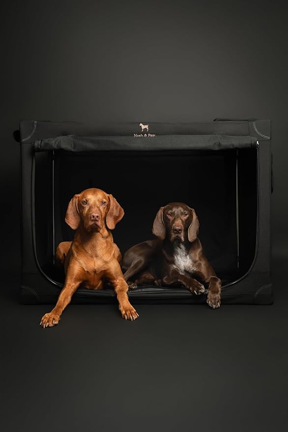 Noah & Paw Collapsible Dog Crate 36 Inches, XL Dog Crate for XL, Large Medium Breed, Travel Kennel for Car, Includes Pet Mat for Pet Cage, 2 Storage Pockets, Handbag, 10mm Locking Zippers 36*25*23
