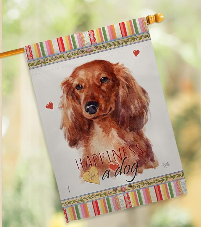 Breeze Decor Long Hair Dachshund Happiness House Flag Pack Dog Puppy Spoiled Paw Canine Fur Pet Nature Farm Animal Creature Support Our Troops Banner Small Garden Yard Gift Double-Sided, Made in USA