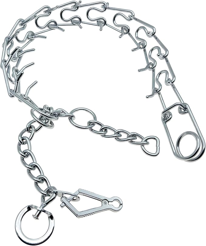 Silver Prong Pinch Dog Collar, No Pull Dog Collar Adjustable Quick Release Dog Training Collar with Quick Release Buckle for Small Medium Large Dogs (Silver, M)