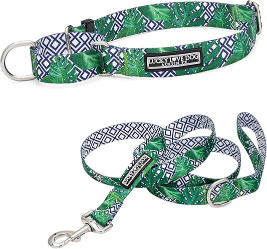Lucky Love Dog Martingale Collar and Leash Set, Premium No Slip Martingale Collar for Small Boy Dogs, Great for Whippets, Greyhounds, and More (Small, Blue Laguna - Combo)