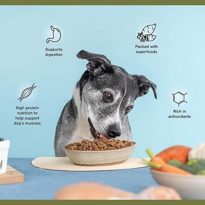 Superfood Complete, Air-Dried Adult Dog Food - High Protein, Zero Fillers, Superfood Nutrition by Katherine Heigl (24 oz., Lamb & Venison)