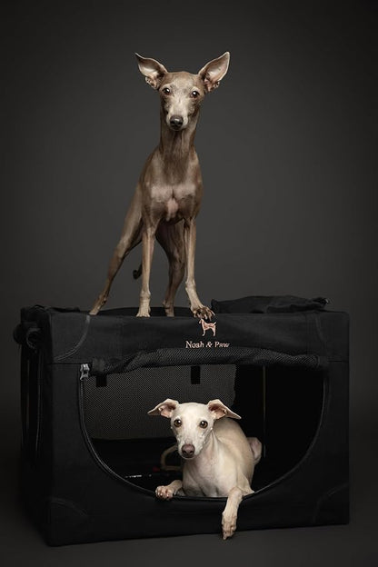 Noah & Paw Collapsible Dog Crate 26 Inch, Small Dog Crate for Small Medium Breeds, Travel Kennel for Car, Including Pet Mat for Pet Cage, 2 Storage Pockets, Handbag, 10mm Locking Zipper 26 * 17 * 17