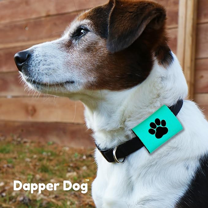 Dapper Dog Pet Tag Silencer and AirTag Holder (Teal with Black Paw)