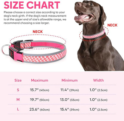 BiPawTi LED Dog Collar Rechargeable, Light Up Dog Collar 3 Light Modes Pet Safety Collar, Super Bright Glow in The Dark Dog Collar for Night Walking, Lighted Dog Collar for Large Dogs （Pink, L）