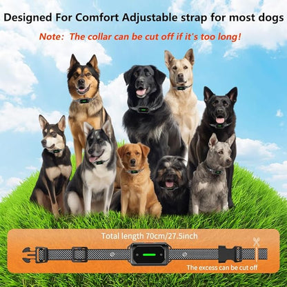 Shock Collar for Dogs, 3300FT Dog Training Collar, for Small, Medium and Large Dogs, 4 Training Modes, Dog Shock Collar with Remote Control, Rechargeable and Waterproof, E Collar for Dogs