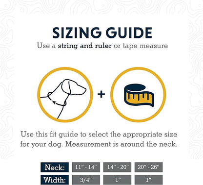 Ruffwear, Chain Reaction Dog Collar, Martingale Style for On-Leash Walking, Basalt Gray, 14"-20"