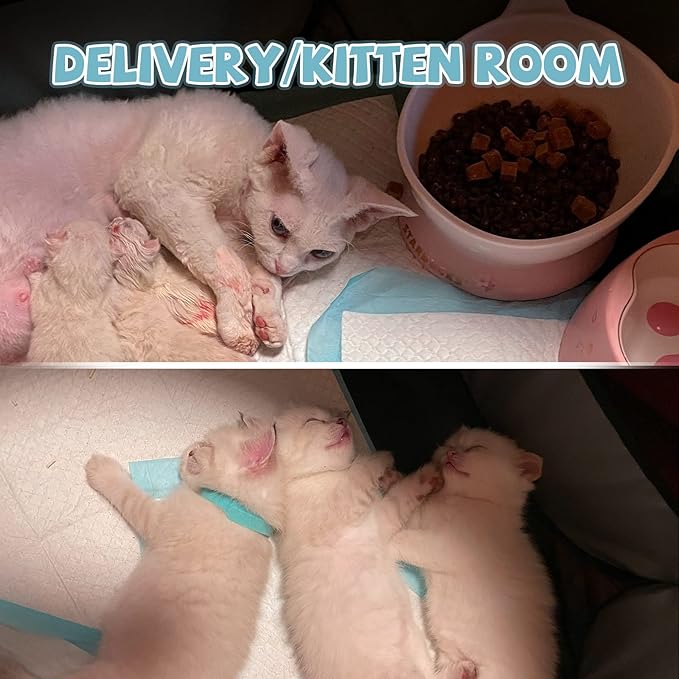 Portable Pet Playpen, Dog Playpen Foldable Pet Exercise Pen Tents Cat House Playground for Puppy Kitten Indoor Outdoor Travel Camping Use