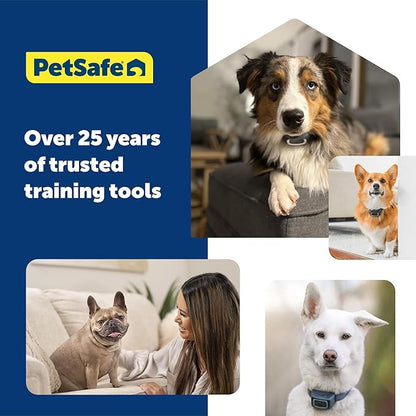 PetSafe 600 Yard Lite Remote Training Collar – Smaller Version for Small or Medium Dogs – Choose from Tone, Vibration, or 15 Levels of Static Stimulation – Medium Range for Training Off Leash Dogs