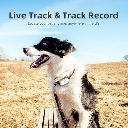 G1-US GPS Pet Tracker, 30 Days Ultra Long-Lasting Battery Lightweight Waterproof pet Finder (White) (Black)