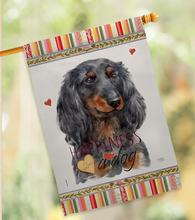 Breeze Decor Blue Long Hair Dachshund Happiness House Flag-Pack Dog Puppy Spoiled Paw Canine Fur Pet Nature Farm Animal Creature Vintage Applique Garden Yard Gift Double-Sided, Made in USA