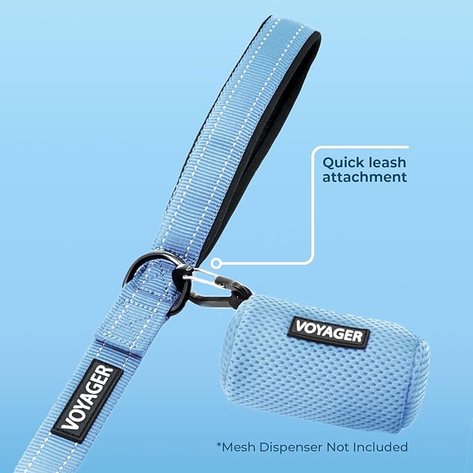 Voyager Reflective Dog Leash with Neoprene Handle, 5ft Long, Supports Small, Medium, and Large Breed Puppies, Cute and Heavy Duty for Walking, Running, and Training - Baby Blue (Leash), L