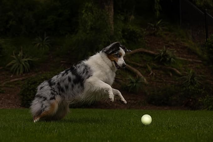 Chuckit! Max Glow Ball Dog Toy, Large (3 Inch Diameter) for dogs 6-100 lbs, Pack of 1