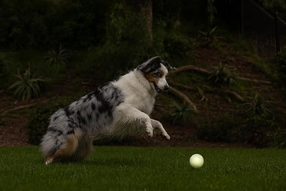 Chuckit! Max Glow Ball Dog Toy, Large (3 Inch Diameter) for dogs 6-100 lbs, Pack of 1