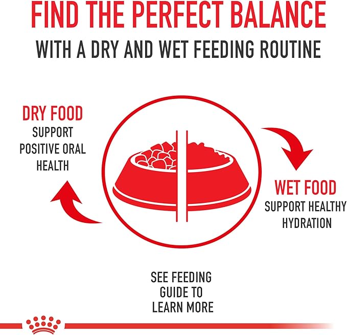 Royal Canin Dachshund Puppy Breed Specific Dry Dog Food, 2.5 lb bag