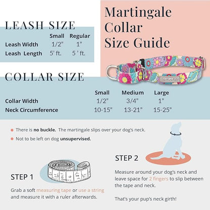 Lucky Love Dog Martingale Collar and Leash Set, Premium No Slip Collar and Leash Set, Vivid Floral Martingale Dog Collar, Great for Whippets, Greyhounds, and More (Ladybird, Large - Combo)