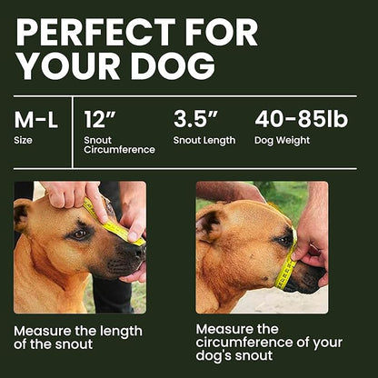 BRONZEDOG Dog Muzzle Wire Basket Metal Mask for Small, Medium and Large Dogs, Breathable, Dog can Drink, Adjustable, Padded, Training, Prevents Biting (Size 4: Pitbull & Amstaff)