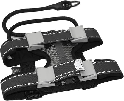 Cesar Millan Pack Leader Collar™ - Training Collar of The Dog Whisperer (Large, Grey)