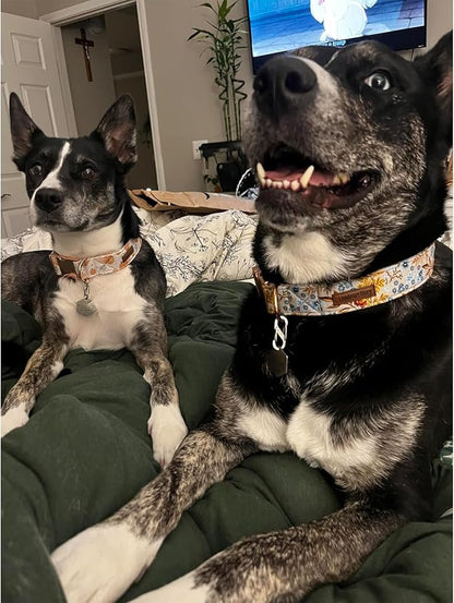 Lionheart glory Premium Dog Collars Fall Dog Collar, Heavy Duty Adjustable Dog Collar for Large Dogs Maple Leaf Dog Collar