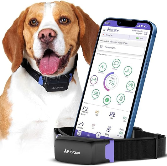 AI Health Monitor & GPS Tracker for Dogs | Track Heart Rate, Pain, Anxiety & Stress | Vet Backed, Near Real-Time Alerts & Monitoring | Subscription Required | PetPace Smart Collar 2.0 (Medium)
